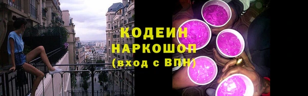 spice Дмитриев