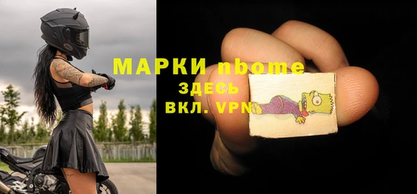 соль ск Ельня