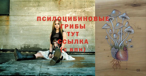 герыч Елабуга