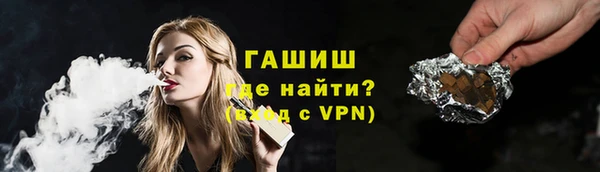 соль ск Ельня