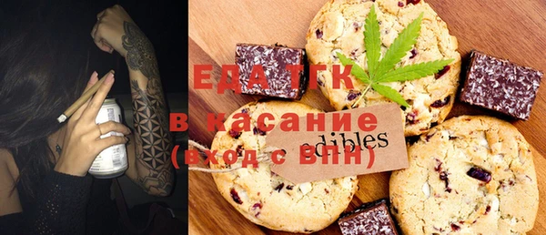 spice Дмитриев