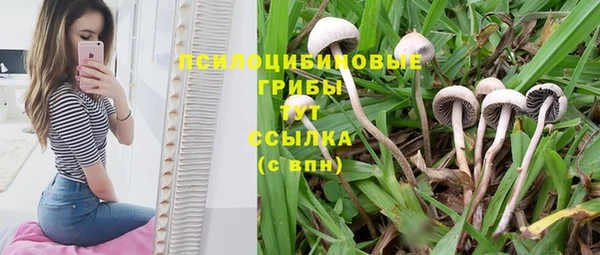 COCAINE Дмитровск