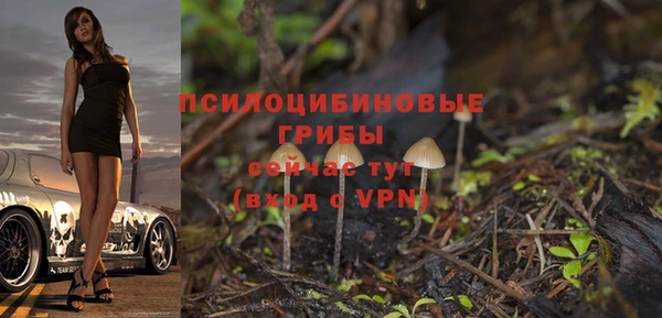 spice Дмитриев