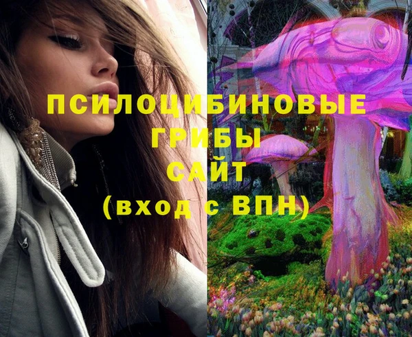 MDMA Дмитров