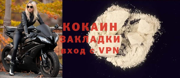 соль ск Ельня