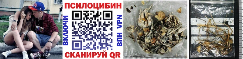Купить  Нижнеудинск  Псилоцибиновые грибы прущие грибы 